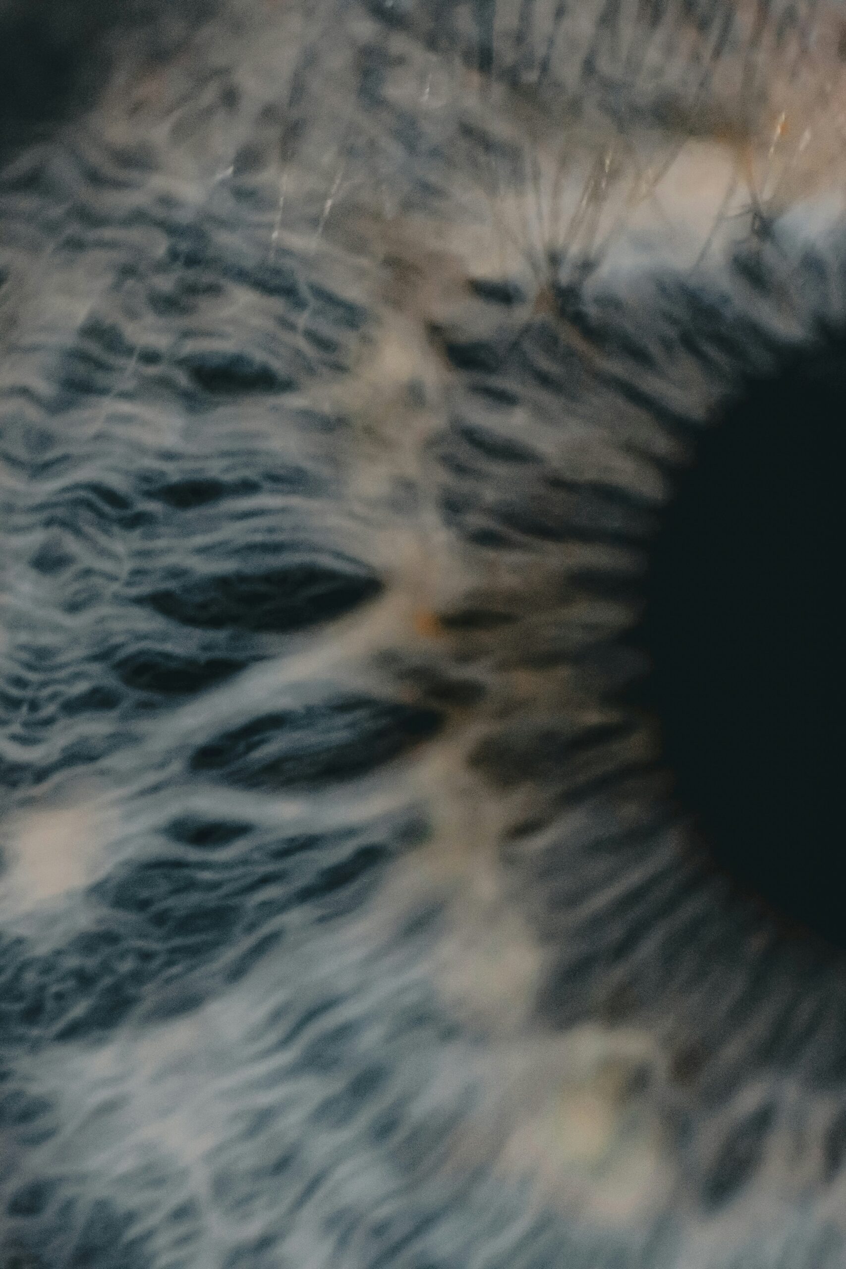 Primo piano occhio iride blu - attacco acuto glaucoma